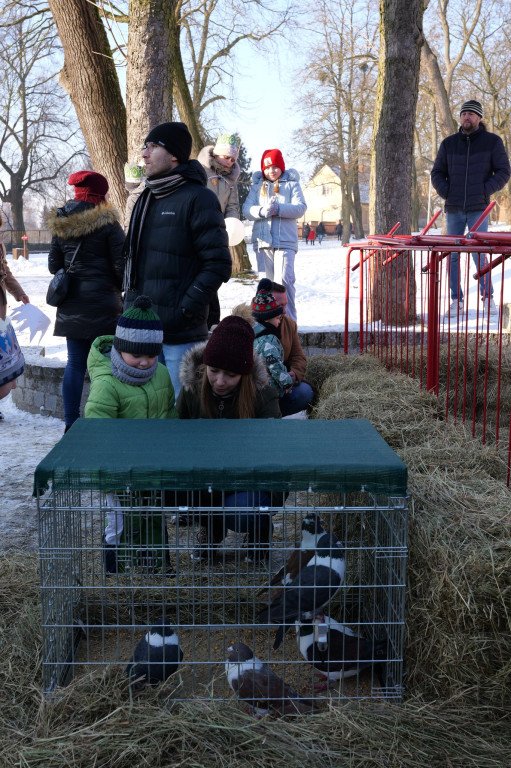 Polonez przy kolędzie i żywa szopka – tak świętowano Trzech Króli w Żerkowie