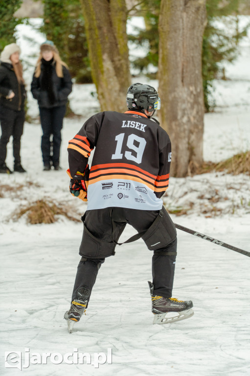Pond hockej na stawie w Parku Radolińskich