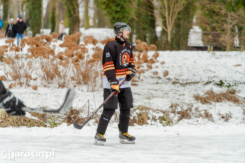Pond hockej na stawie w Parku Radolińskich