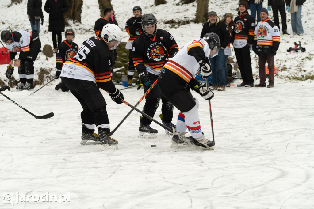 Pond hockej na stawie w Parku Radolińskich