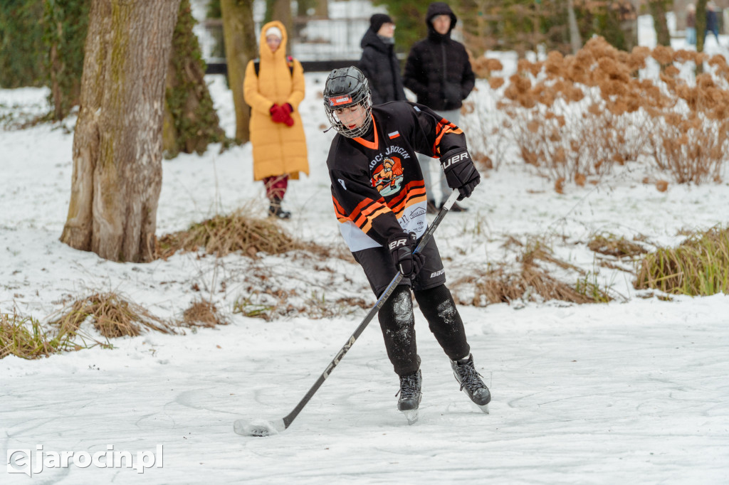 Pond hockej na stawie w Parku Radolińskich
