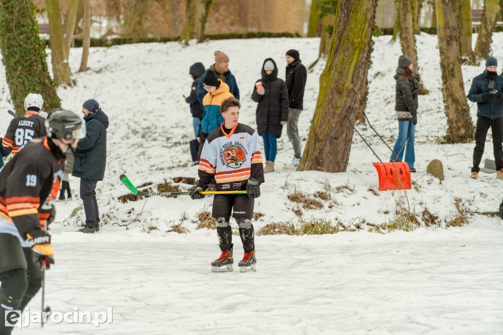 Pond hockej na stawie w Parku Radolińskich