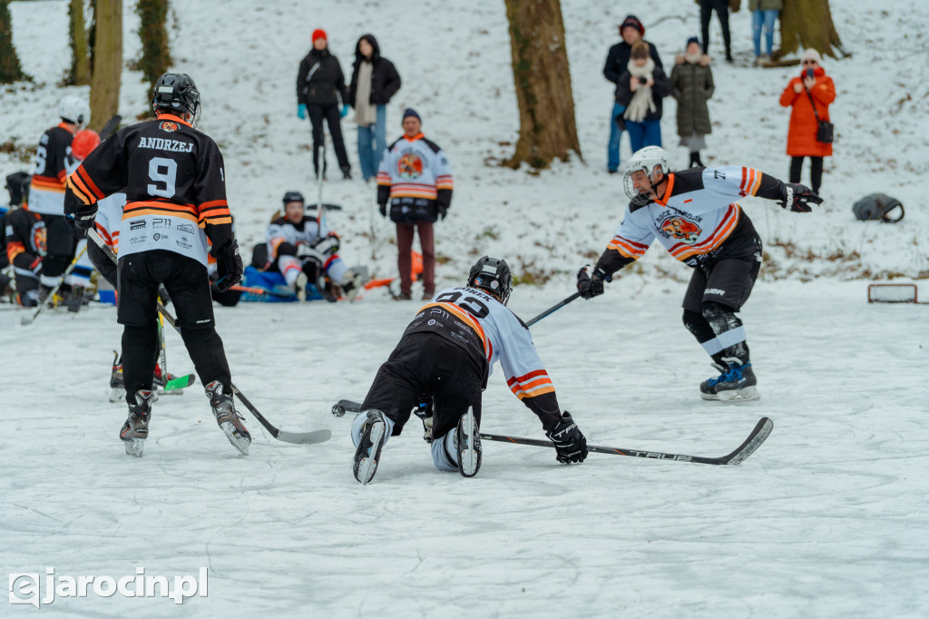 Pond hockej na stawie w Parku Radolińskich