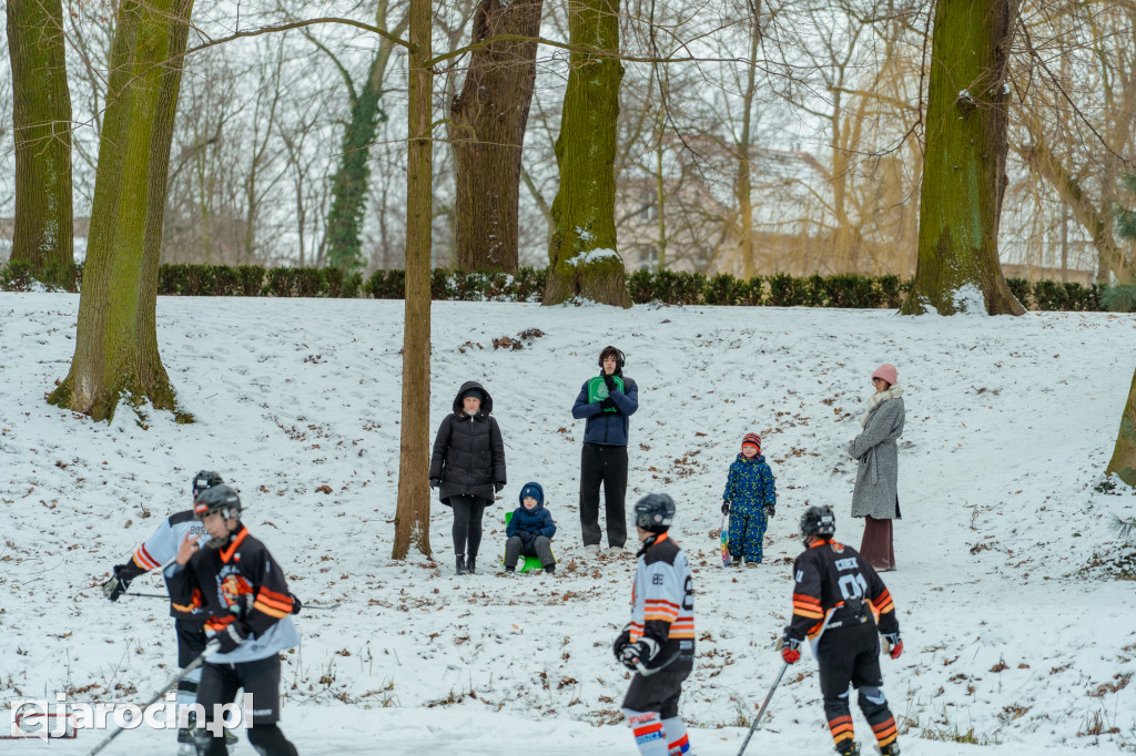 Pond hockej na stawie w Parku Radolińskich