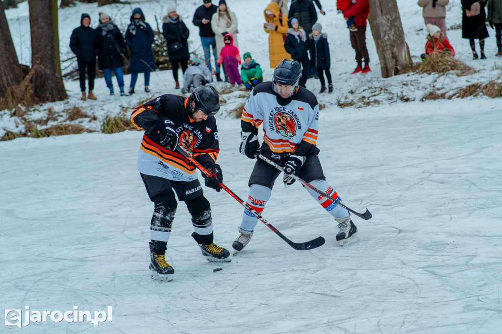 Pond hockej na stawie w Parku Radolińskich