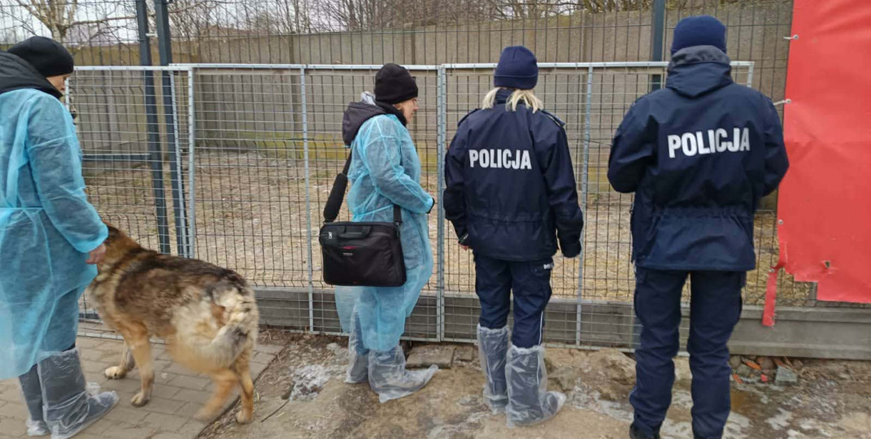 Policja i Inspekcja Weterynaryjna skontrolowały schronisko w Radlinie