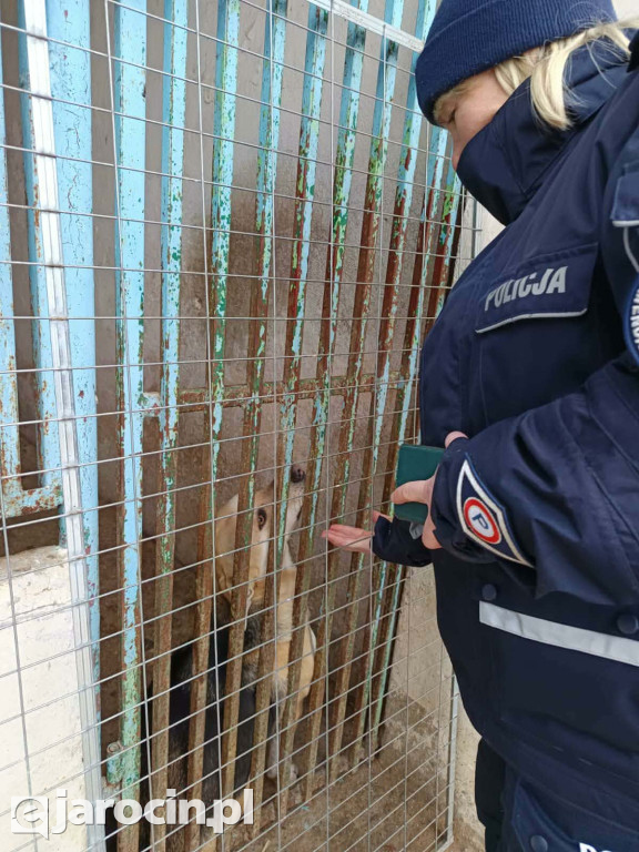 Policja i Inspekcja Weterynaryjna skontrolowały schronisko w Radlinie