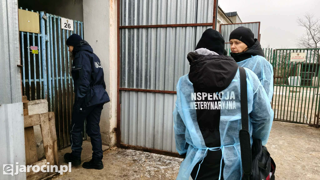 Policja i Inspekcja Weterynaryjna skontrolowały schronisko w Radlinie