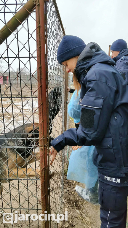 Policja i Inspekcja Weterynaryjna skontrolowały schronisko w Radlinie