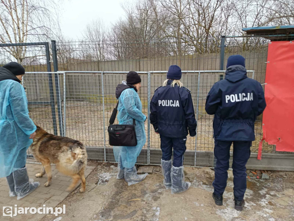 Policja i Inspekcja Weterynaryjna skontrolowały schronisko w Radlinie
