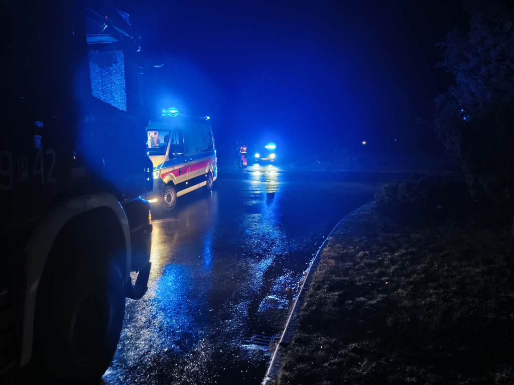 Peugeot na skraju rowu w Parzewie, kierowca w środku