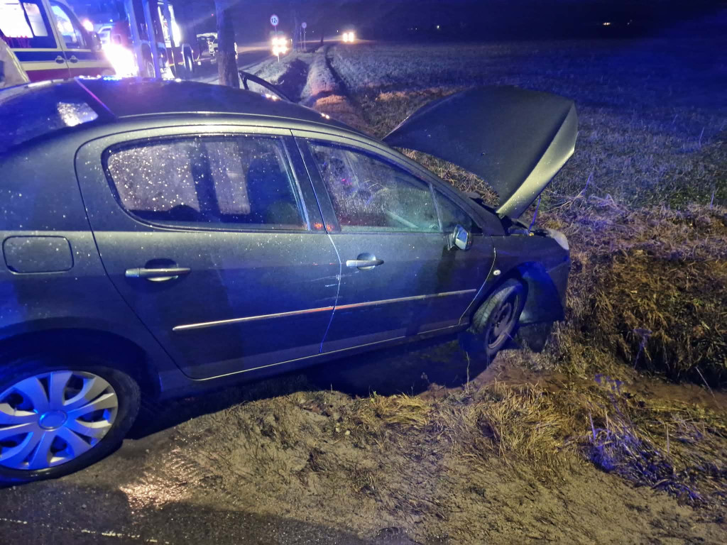 Peugeot na skraju rowu w Parzewie, kierowca w środku