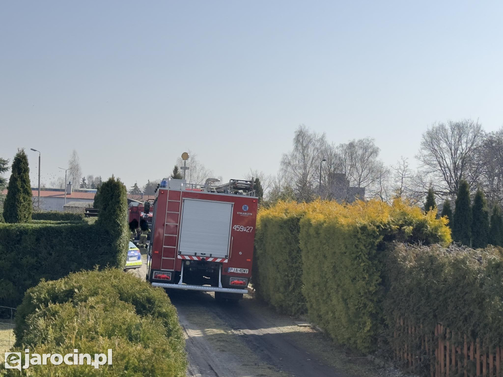 Pożar na ogródkach działkowych przy ul. Żerkowskiej w Jarocinie
