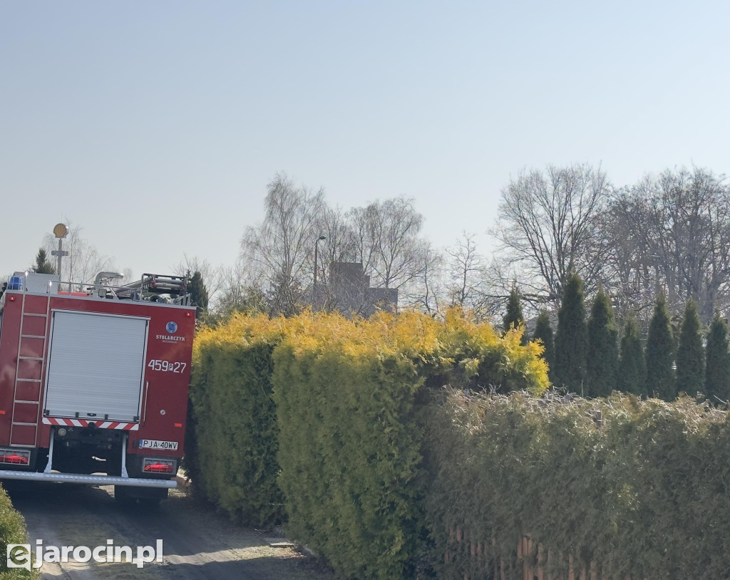Pożar na ogródkach działkowych przy ul. Żerkowskiej w Jarocinie