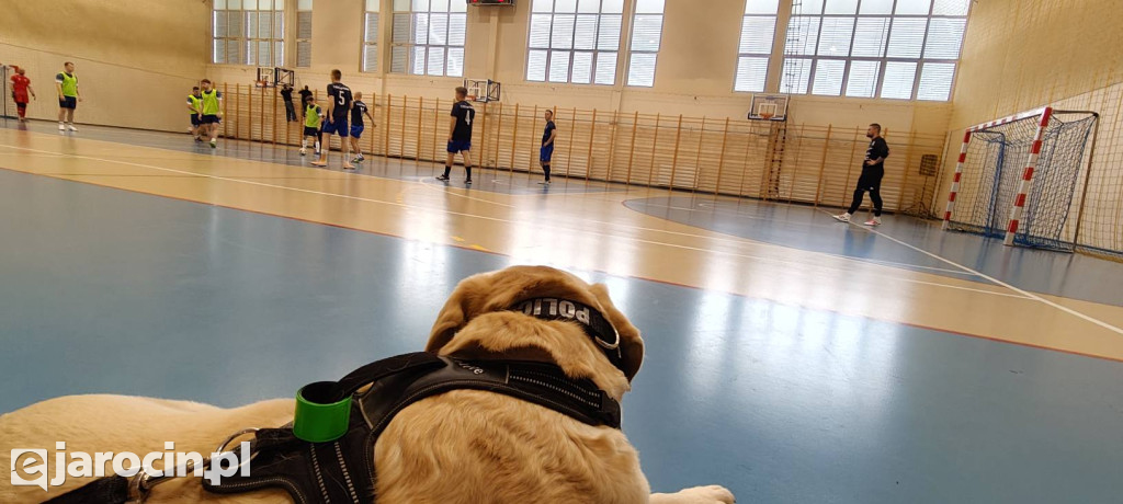 Turniej dla bohaterów na czterech łapach