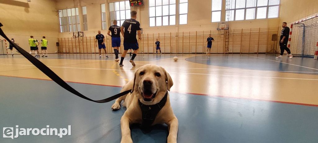 Turniej dla bohaterów na czterech łapach