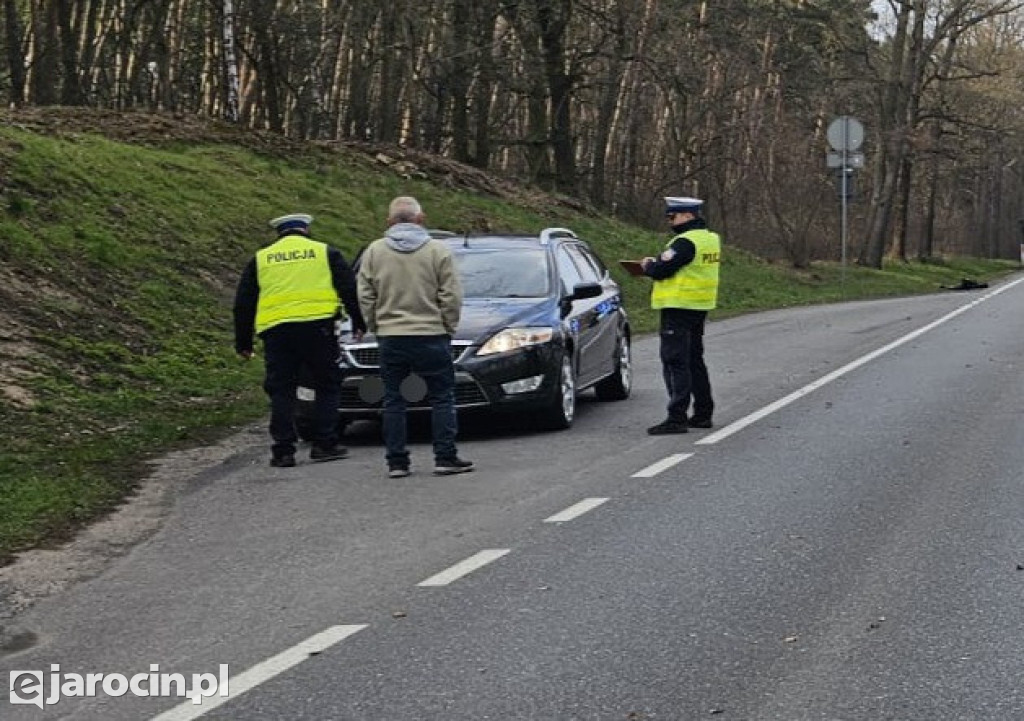 Tragiczny wypadek na DK11 pod Środą Wielkopolską