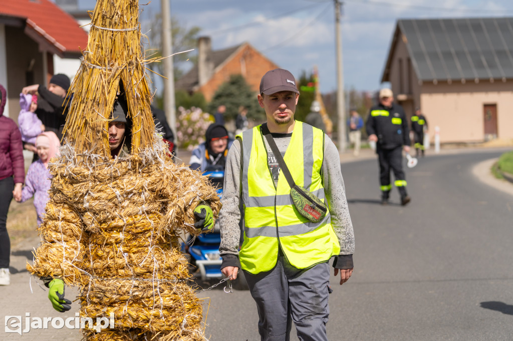 Niedźwiedzie Wielkanocne w Cielczy