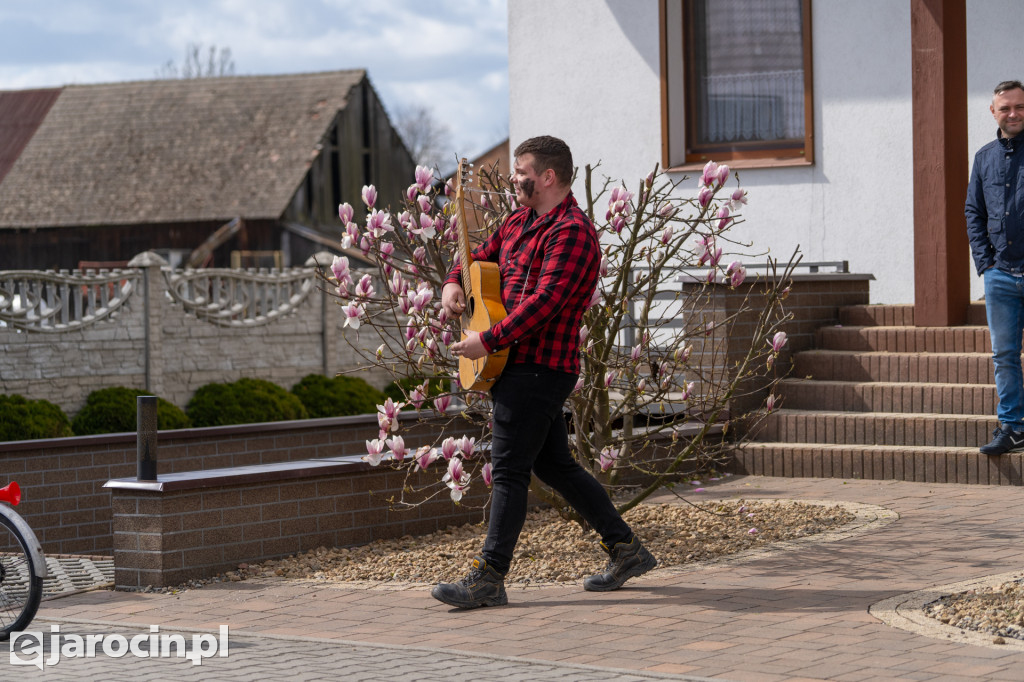 Niedźwiedzie Wielkanocne w Cielczy