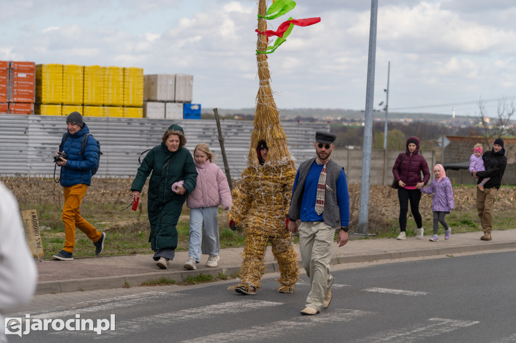 Niedźwiedzie Wielkanocne w Cielczy