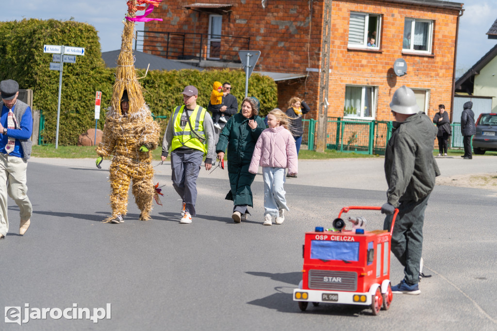 Niedźwiedzie Wielkanocne w Cielczy