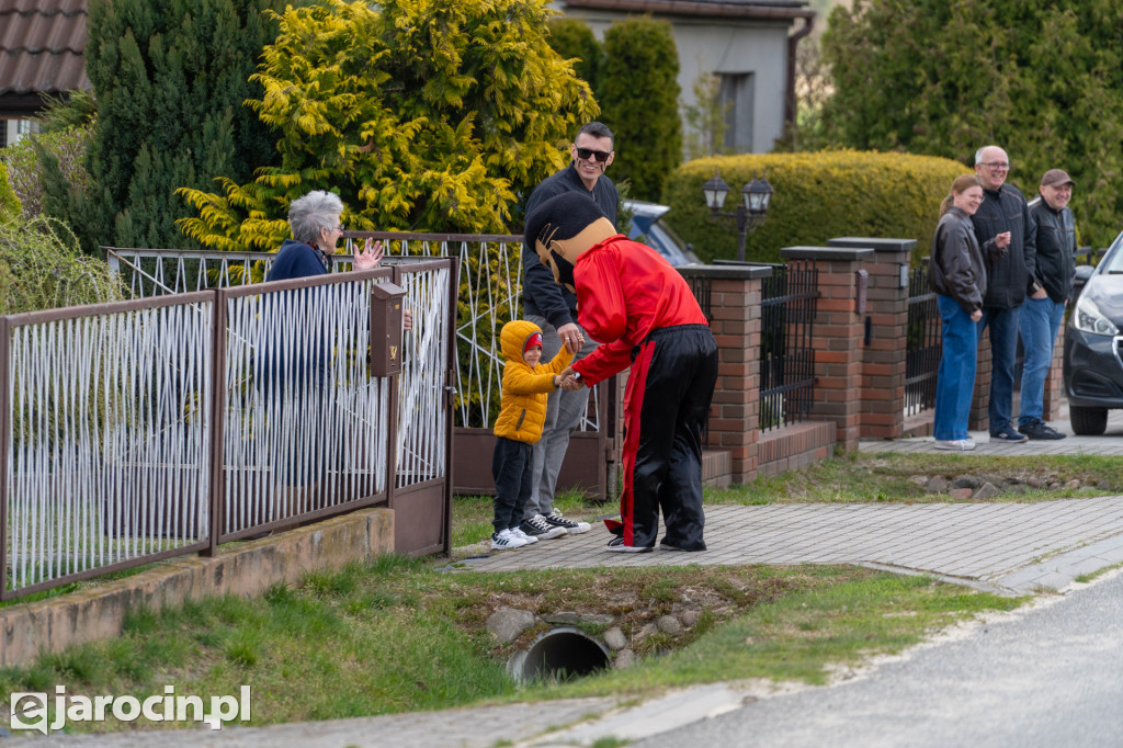 Niedźwiedzie Wielkanocne w Cielczy