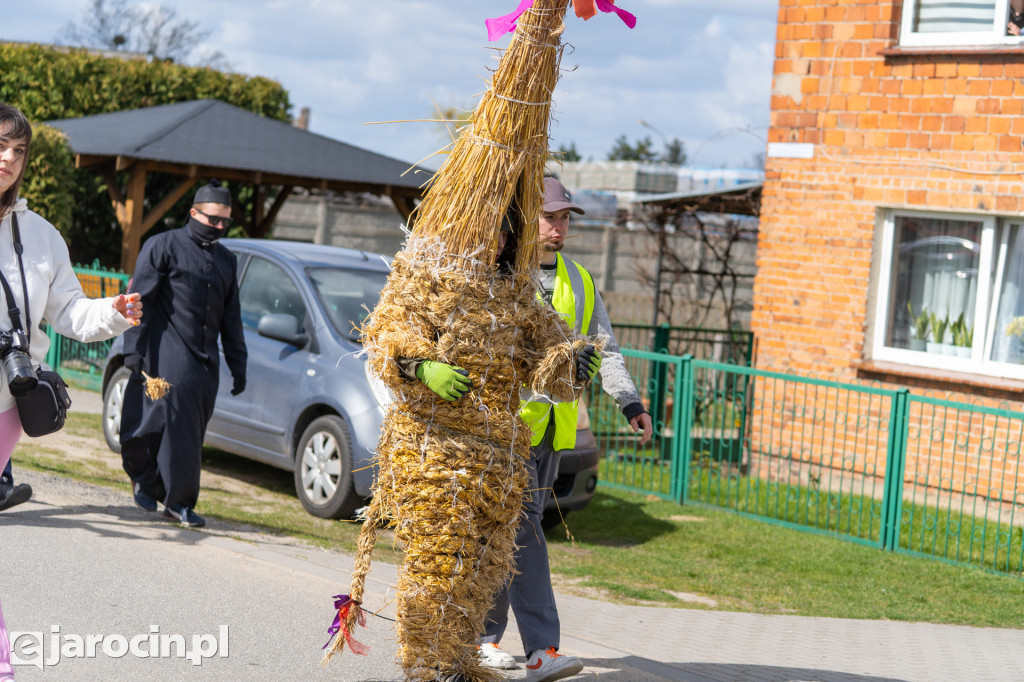Niedźwiedzie Wielkanocne w Cielczy