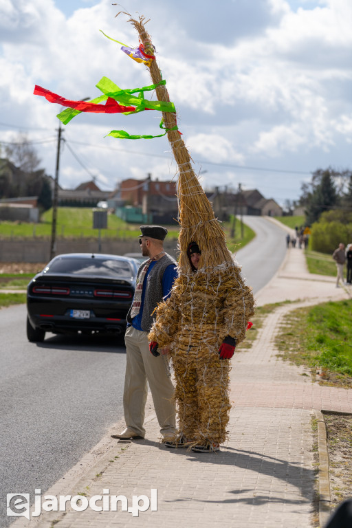 Niedźwiedzie Wielkanocne w Cielczy