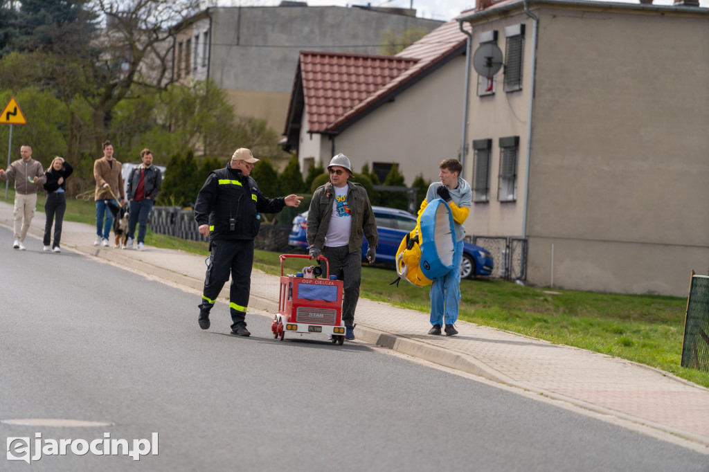 Niedźwiedzie Wielkanocne w Cielczy