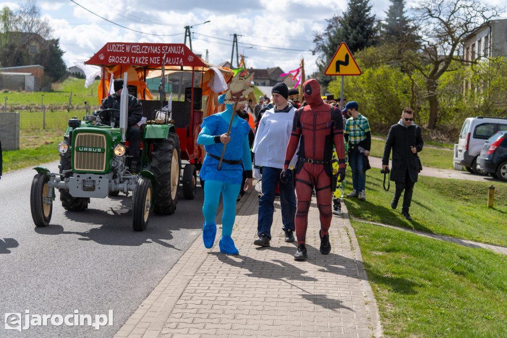 Niedźwiedzie Wielkanocne w Cielczy