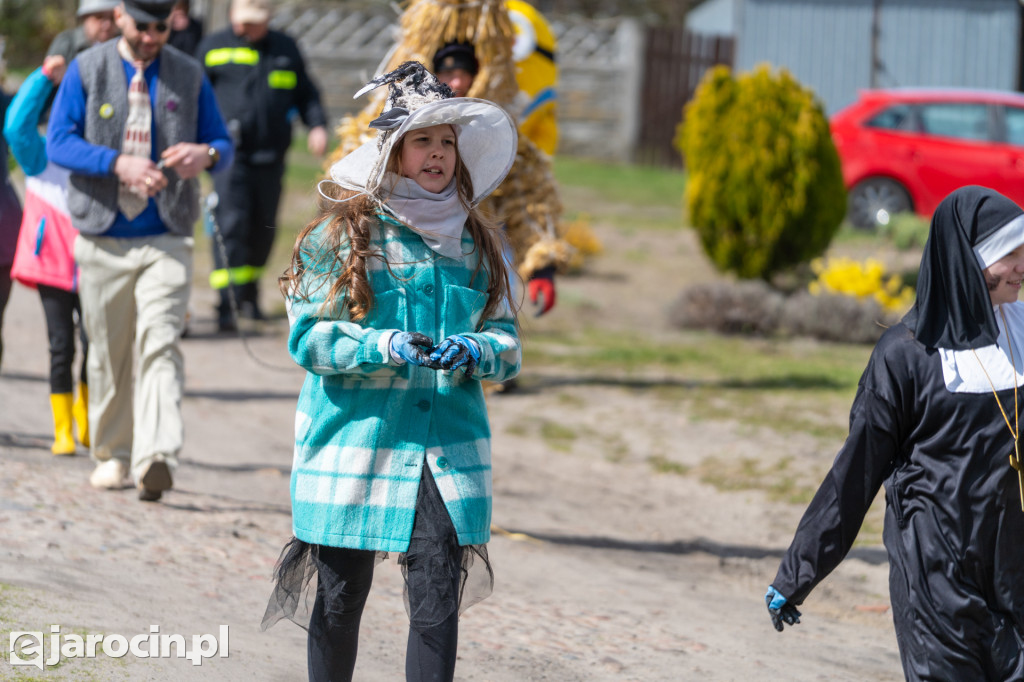 Niedźwiedzie Wielkanocne w Cielczy