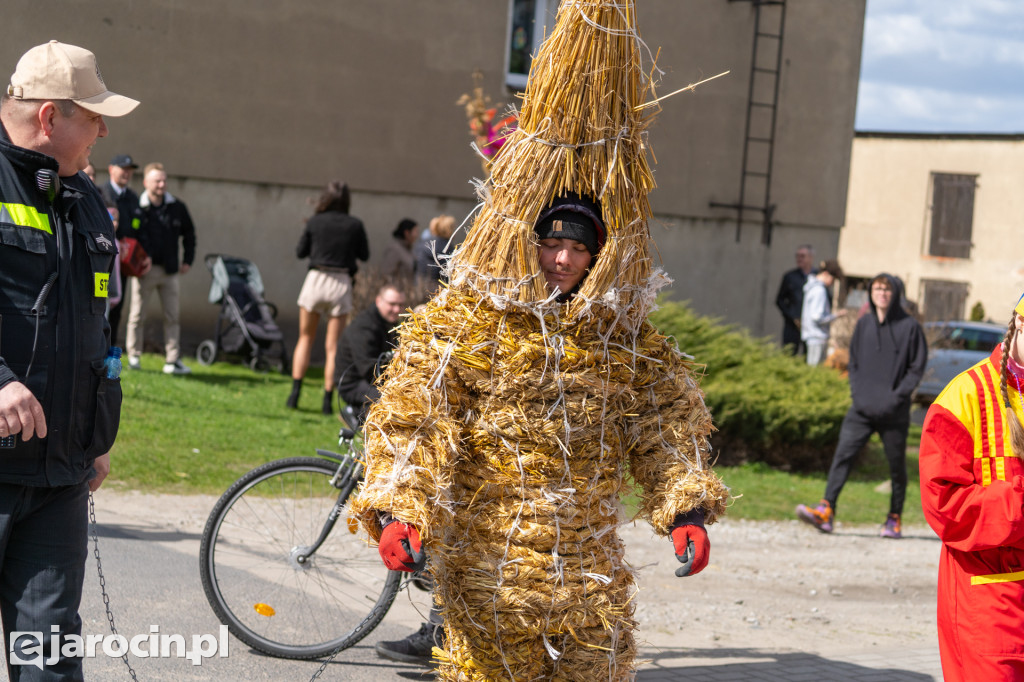 Niedźwiedzie Wielkanocne w Cielczy