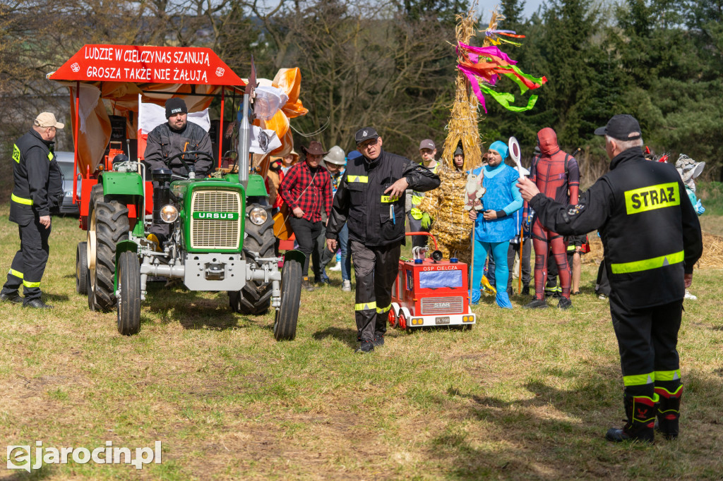 Niedźwiedzie Wielkanocne w Cielczy
