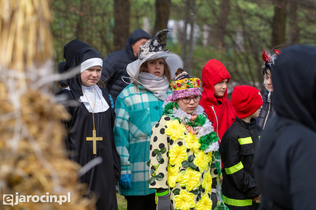 Niedźwiedzie Wielkanocne w Cielczy