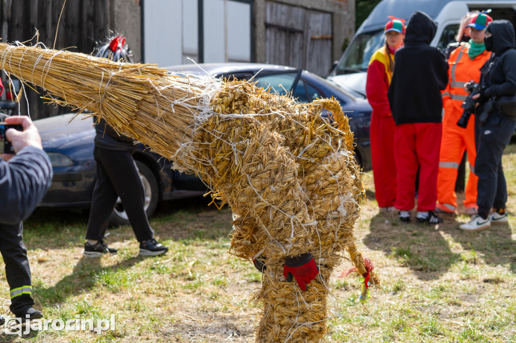 Niedźwiedzie Wielkanocne w Cielczy