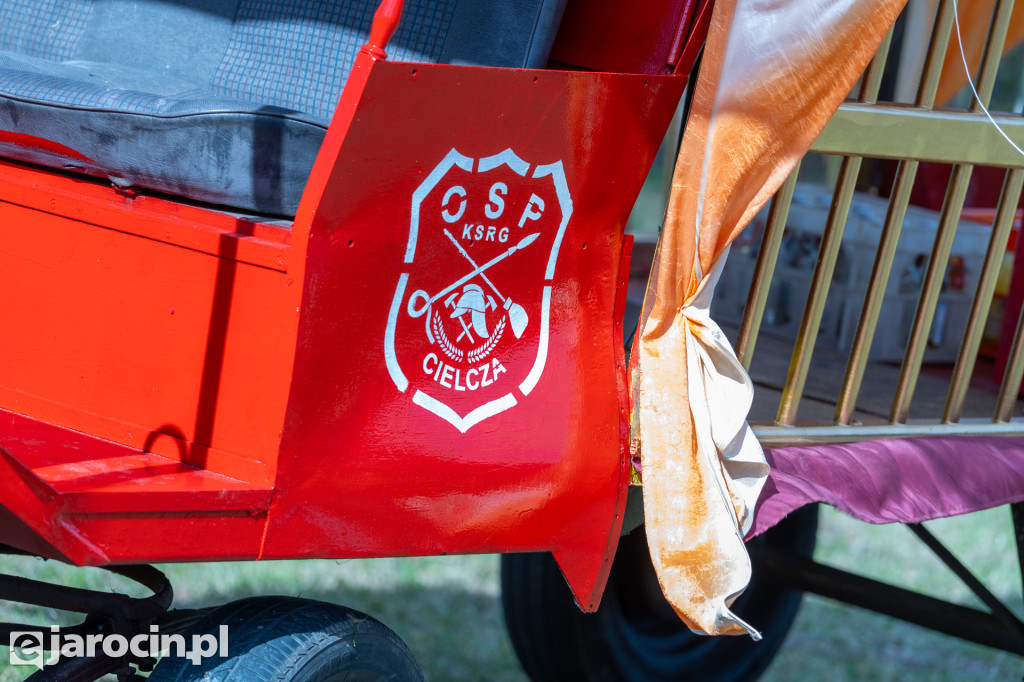 Niedźwiedzie Wielkanocne w Cielczy