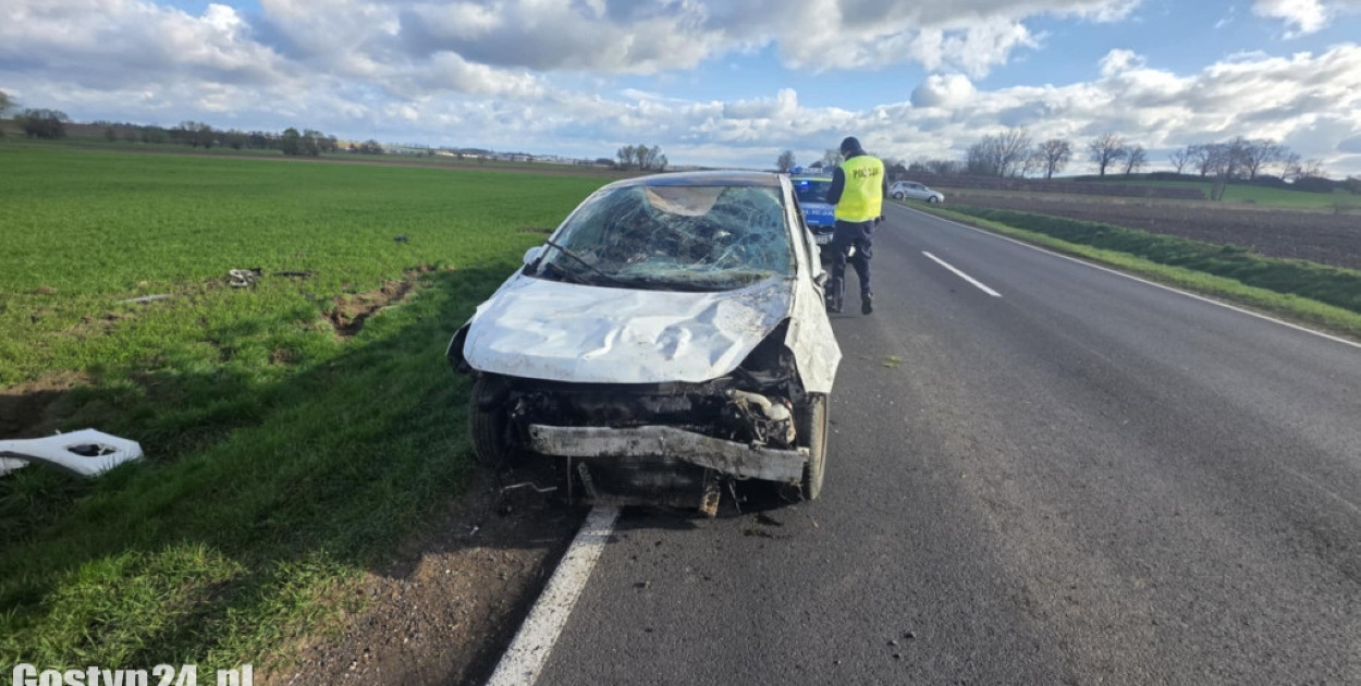 Auto w rowie po próbie ominięcia zwierzyny