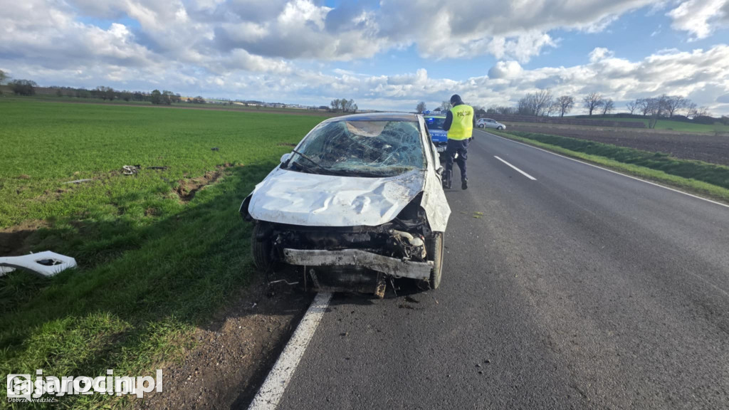 Auto w rowie po próbie ominięcia zwierzyny