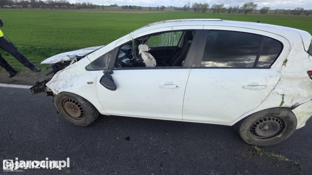 Auto w rowie po próbie ominięcia zwierzyny