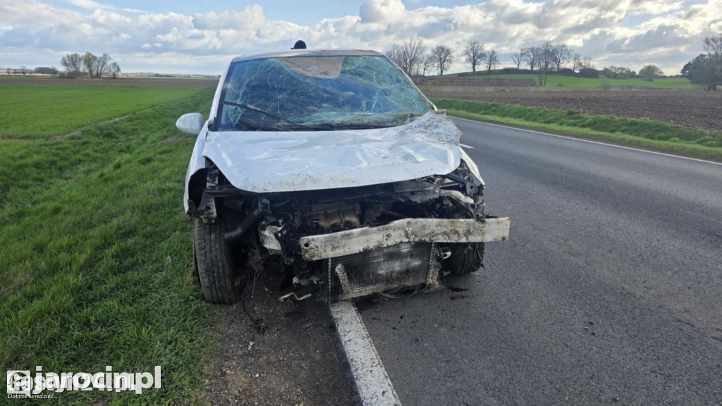 Auto w rowie po próbie ominięcia zwierzyny