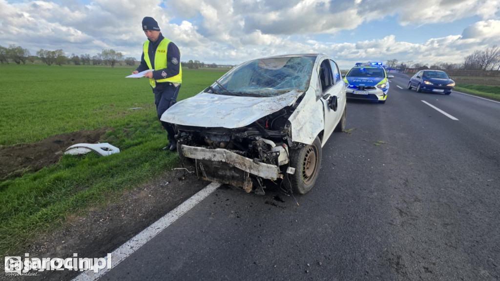 Auto w rowie po próbie ominięcia zwierzyny