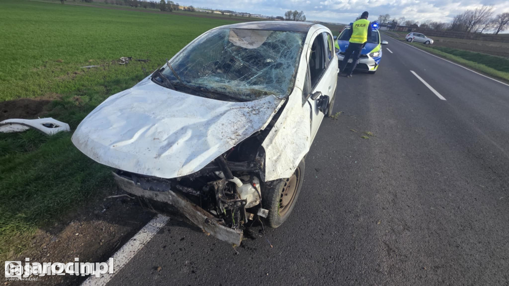 Auto w rowie po próbie ominięcia zwierzyny