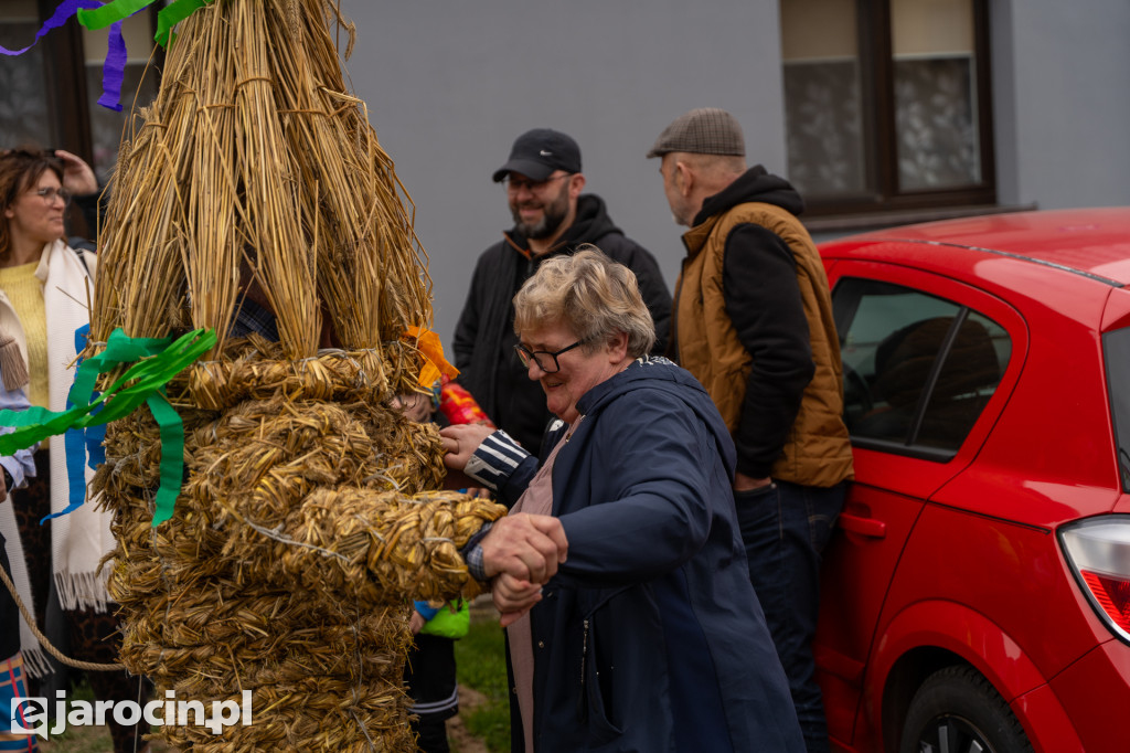 Niedźwiedzie ma Bogusławiu