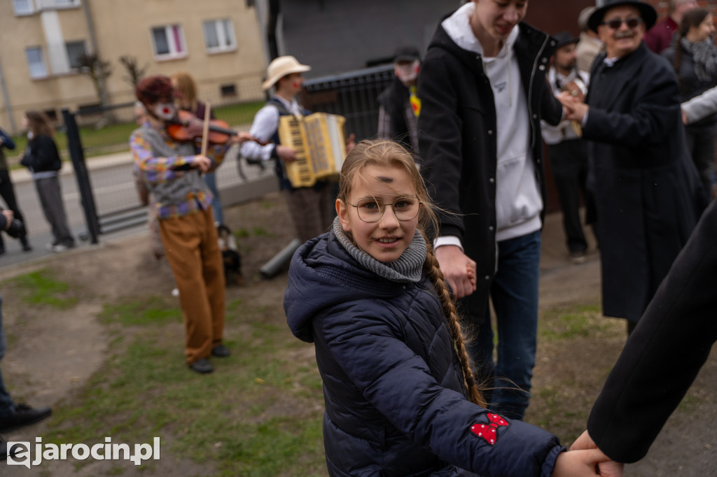 Niedźwiedzie ma Bogusławiu