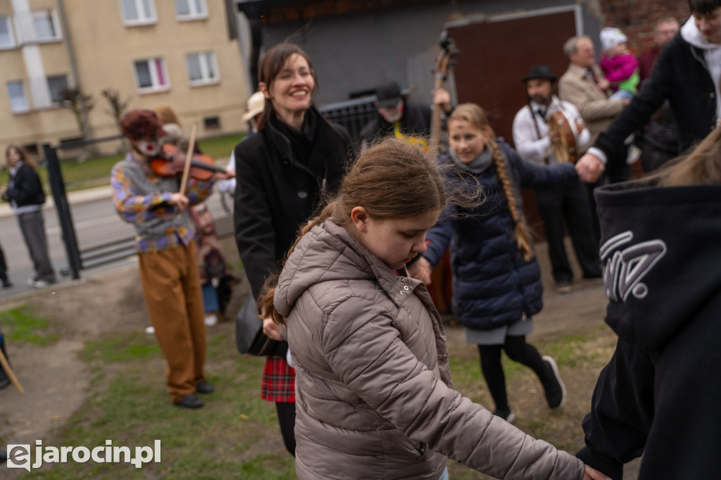 Niedźwiedzie ma Bogusławiu