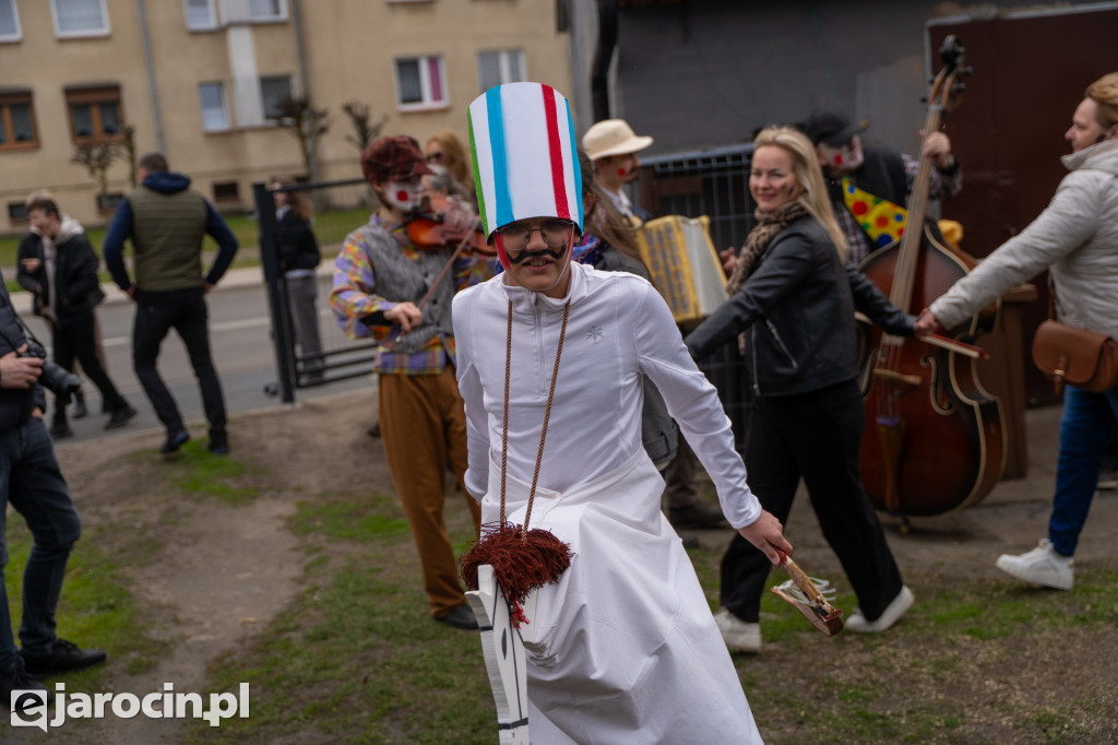 Niedźwiedzie ma Bogusławiu