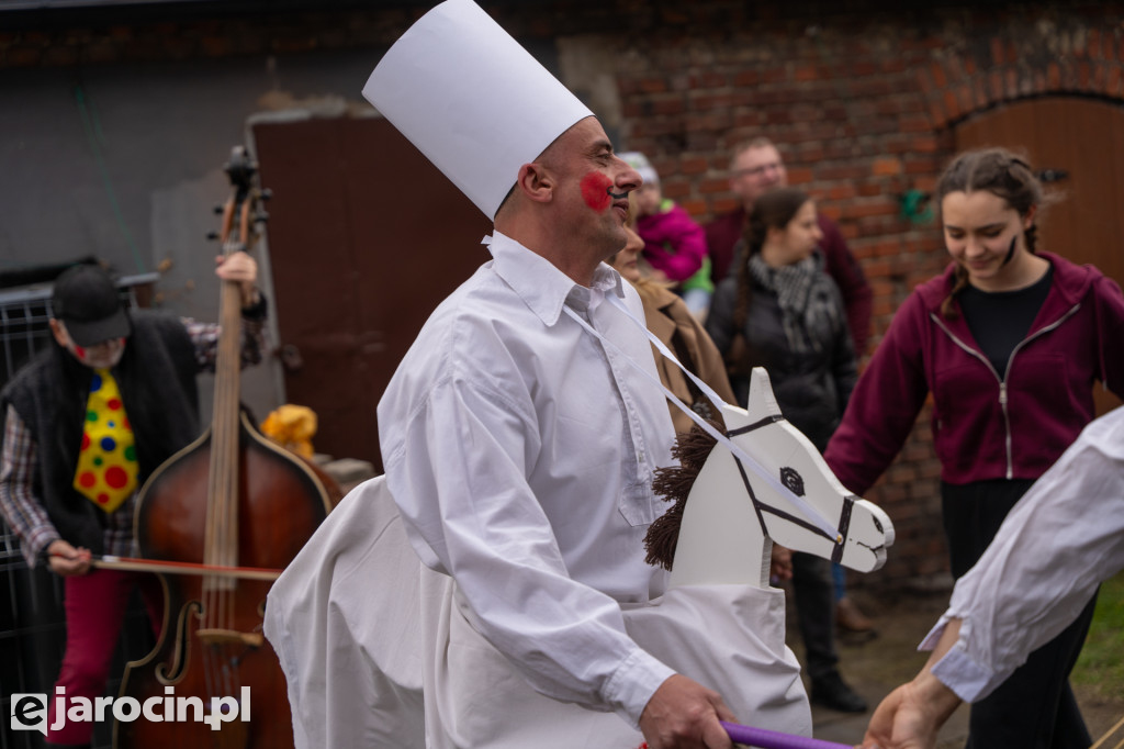 Niedźwiedzie ma Bogusławiu