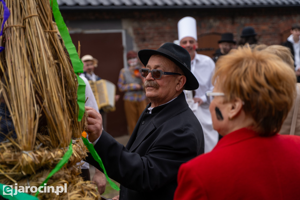 Niedźwiedzie ma Bogusławiu