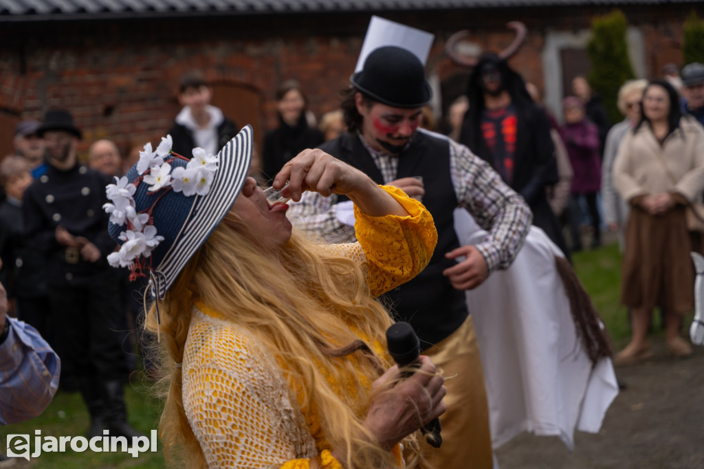 Niedźwiedzie ma Bogusławiu