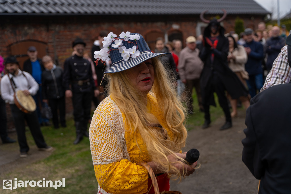 Niedźwiedzie ma Bogusławiu